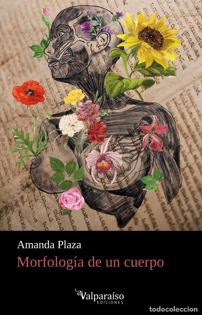 books: MORFOLOGIA DE UN CUERPO - PLAZA, AMANDA