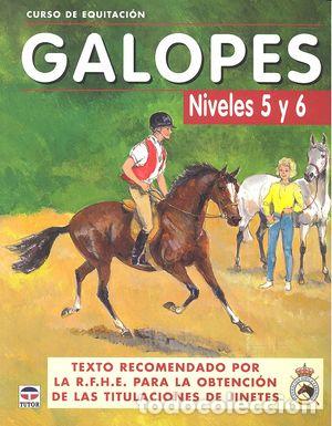 Libri: GALOPES NIVELES 5 Y 6 CURSO EQUITACION - AA.VV