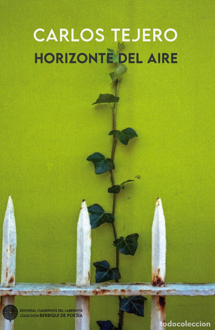 Libros: HORIZONTE DEL AIRE - TEJERO, CARLOS