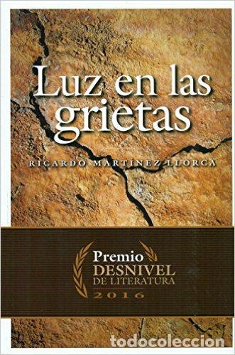 Libros: LUZ EN LAS GRIETAS - MARTINEZ LLORCA, RICARDO