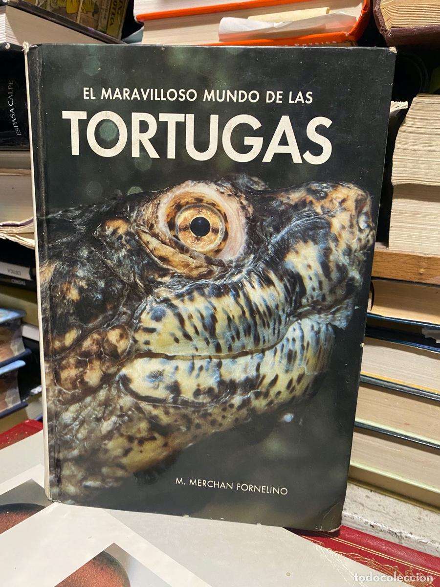 Libros: el maravilloso mundo de las tortugas, m. marchan fornelino