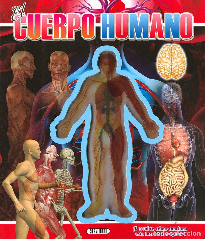 Libri: CUERPO HUMANO,EL - AA.VV.