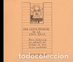 Libri: UNA CUEVA DILUVIAL EN LA CAVA BAJA - ENRIUS, FUNDACION