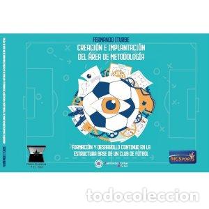 Libros: CREACION E IMPLANTACION DEL AREA DE METODOLOGIA - ITURBE, FERNANDO