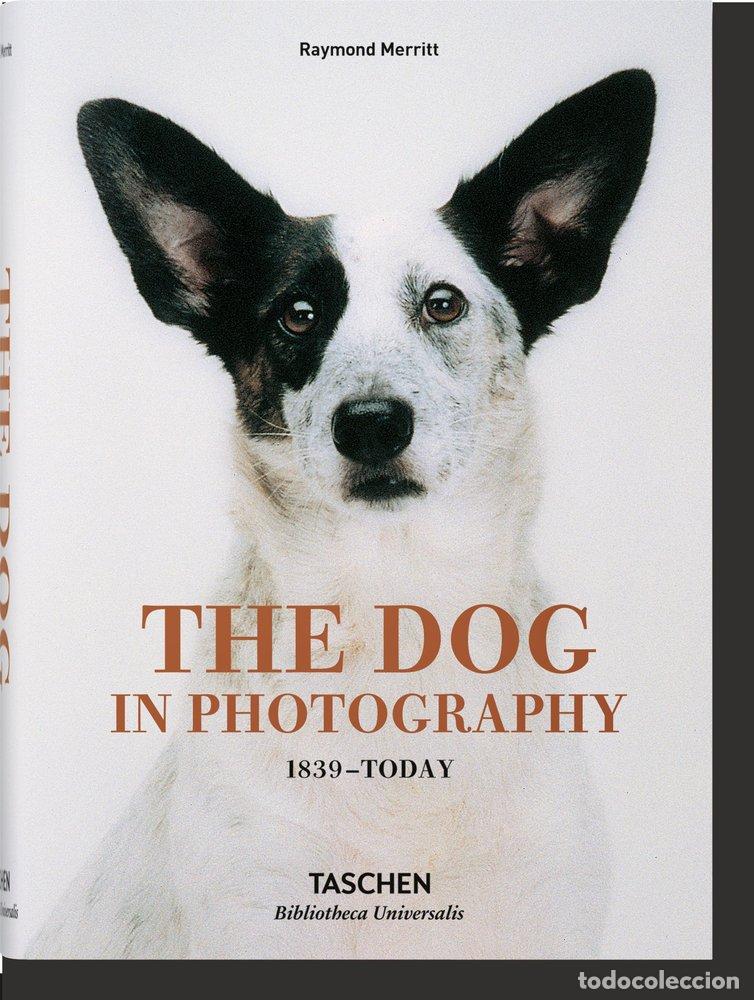 books: DOG IN PHOTOGRAPHY 1839 TODAY (AL/FR/IN) - AA.VV