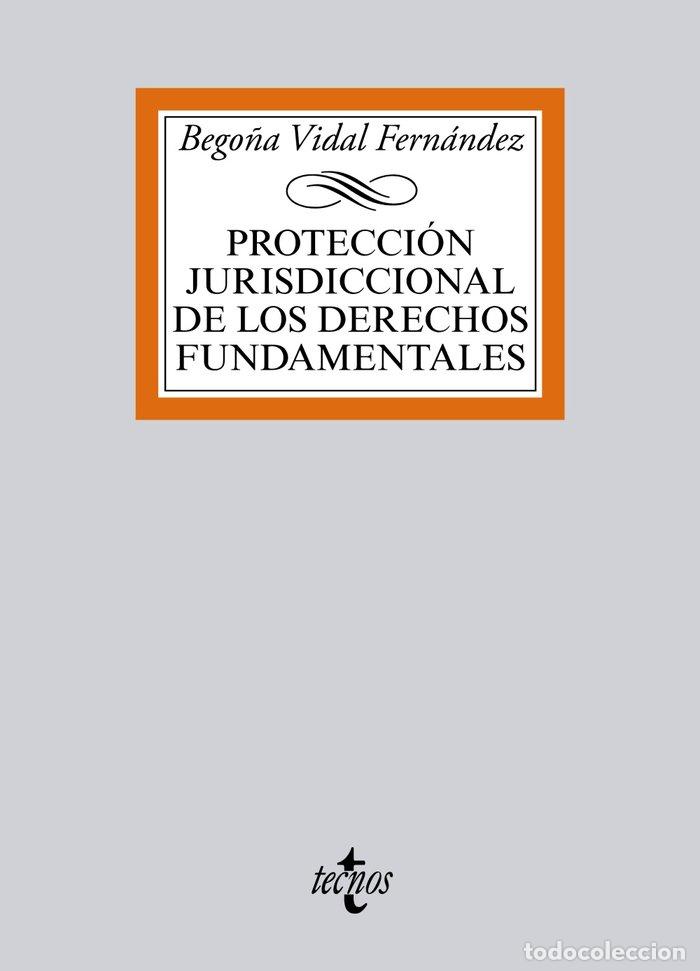 Libros: PROTECCION JURISDICCIONAL DE LOS DERECHOS FUNDAMENTALES - VIDAL FERNANDEZ, BEGO&Ntilde;A