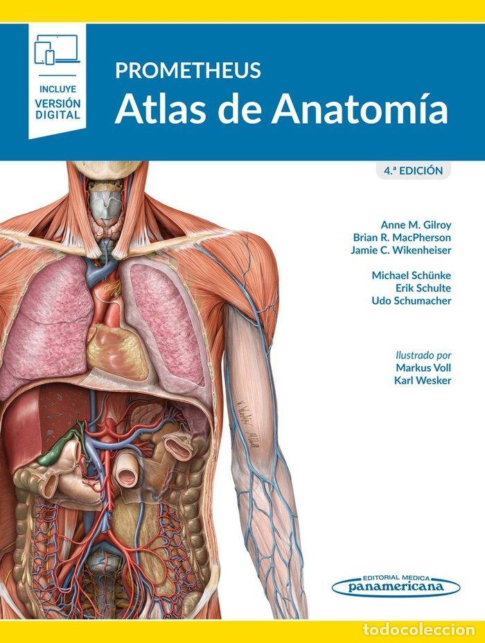 Libros: PROMETHEUS ATLAS DE ANATOMIA - GILROY