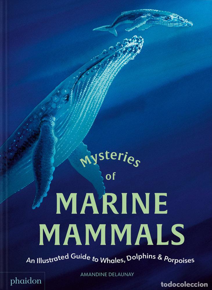 books: MYSTERIES OF MARINE MAMMALS - DELAUNAY, AMANDINE