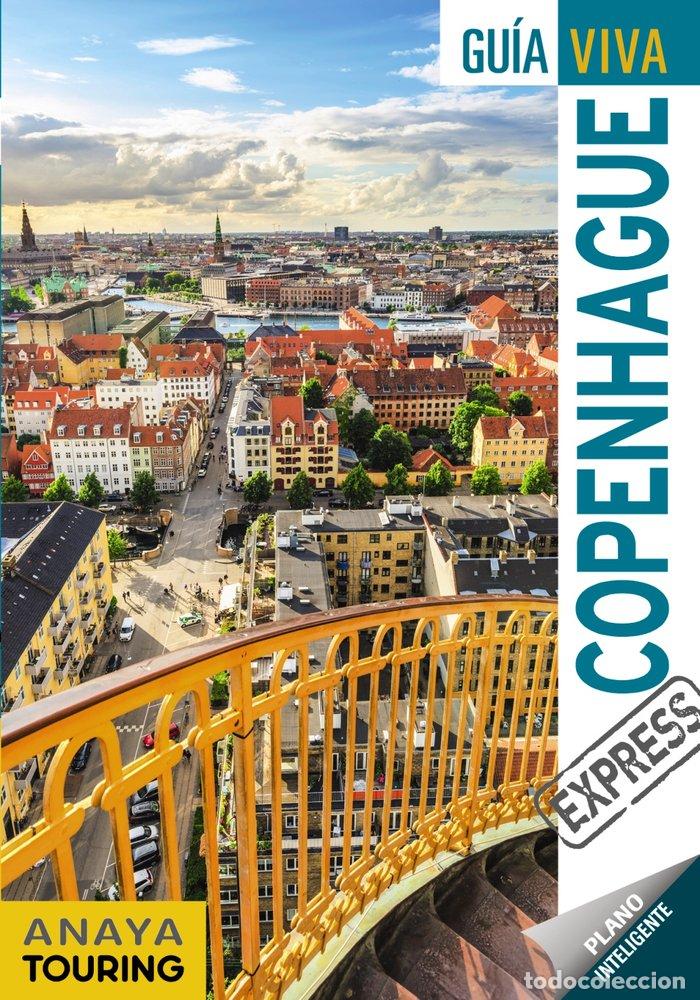 Libros: COPENHAGUE - FERNANDEZ, LUIS ARGEO
