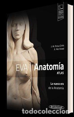 Libros: EVA ANATOMIA ATLAS - POTAU GINES, JOSEP MARIA