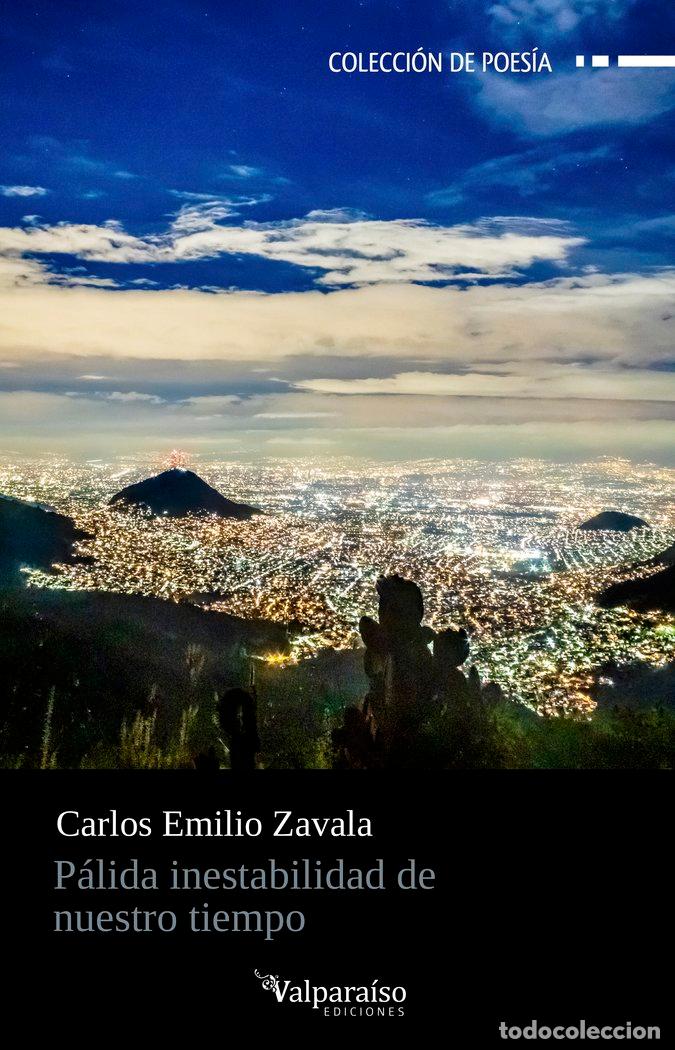 Libri: PALIDA INESTABILIDAD DE NUESTRO TIEMPO - ZAVALA, CARLOS EMILIO