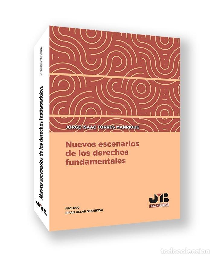Libros: NUEVOS ESCENARIOS DE LOS DERECHOS FUNDAMENTALES - JORGE ISAAC TORRES MANRIQUE