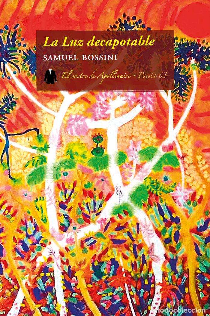 Libros: LA LUZ DECAPOTABLE - BOSSINI, SAMUEL