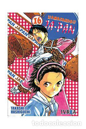 Libros: AMASANDO JA-PAN 16 - HASHIGUCHI, TAKASHI