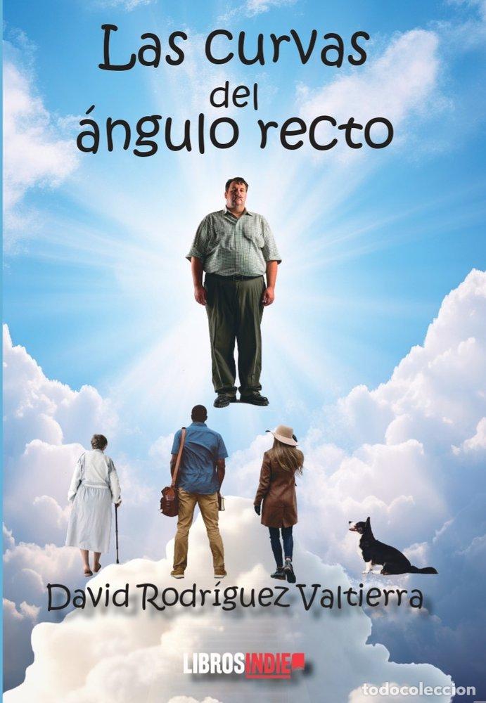 Libros: LAS CURVAS DEL ANGULO RECTO - RODRIGUEZ VALTIERRA, DAVID