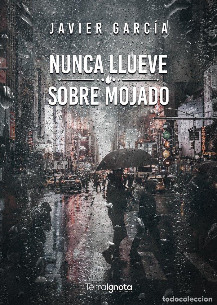 books: NUNCA LLUEVE SOBRE MOJADO - GARCIA, JAVIER