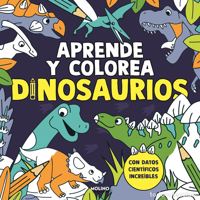 Livres: APRENDE Y COLOREA DINOSAURIOS - VARIOS AUTORES