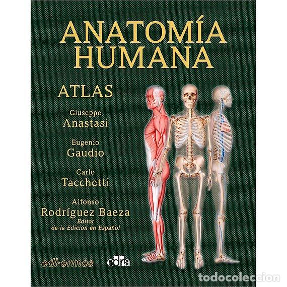 Libros: VOL II ANATOMIA HUMANA ATLAS INTERACTIVO MULTIMEDIA, SEGU - ANASTASI, GIUSEPPE