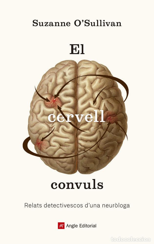 Libri: CERVELL CONVULS,EL - OSULLIVAN, SUZANNE
