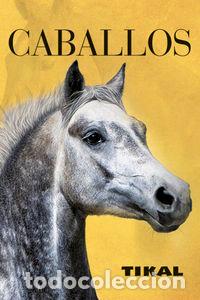 Libros: FOTOLIBROS ESTUCHE CABALLOS - AA.VV