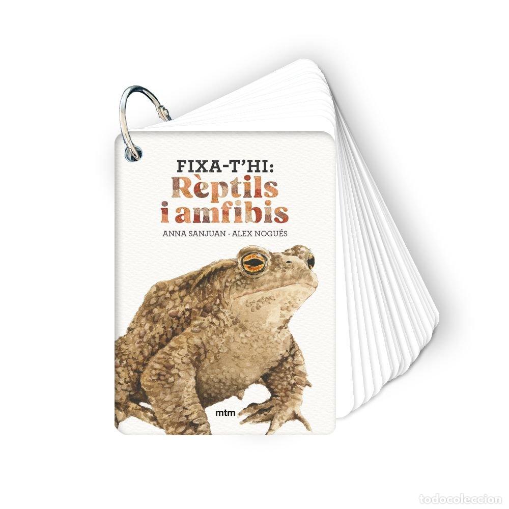 Libros: FIXA-T'HI REPTILS I AMFIBIS - SANJUAN LLORENS, ANNA