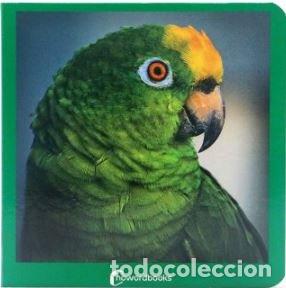 Libri: VERDE - ............