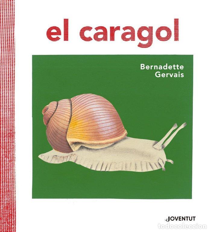 Livres: CARAGOL,EL - GERVAIS, BERNADETTE