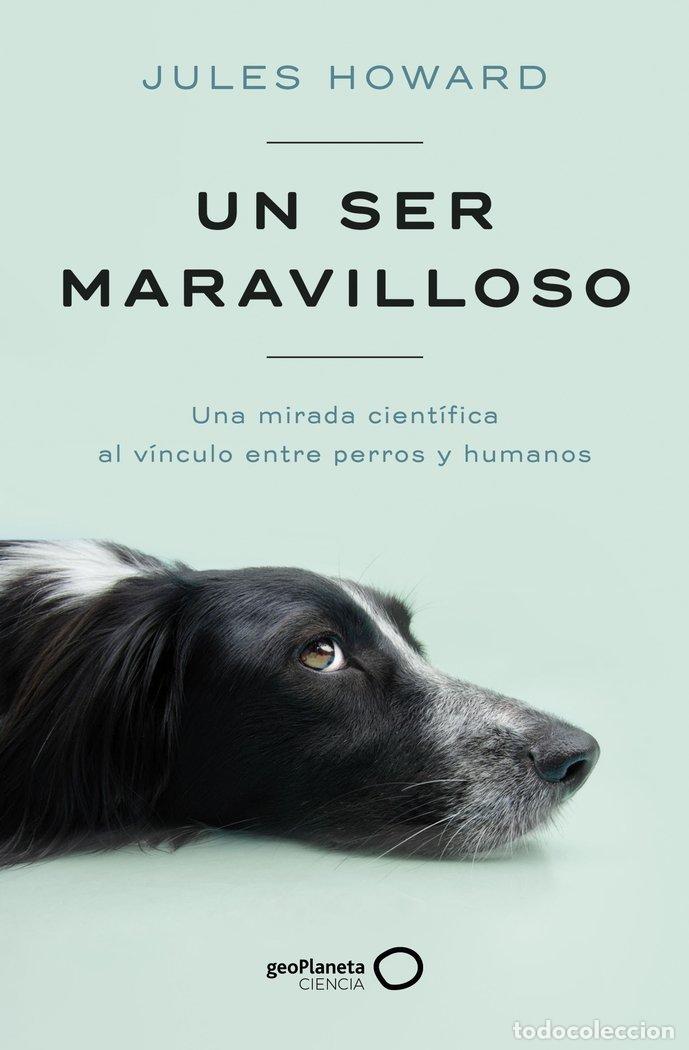 Libros: UN SER MARAVILLOSO - JULES HOWARD