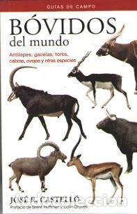 Libros: BOVIDOS DEL MUNDO GUIAS DE CAMPO - CASTELLO, JOSE R