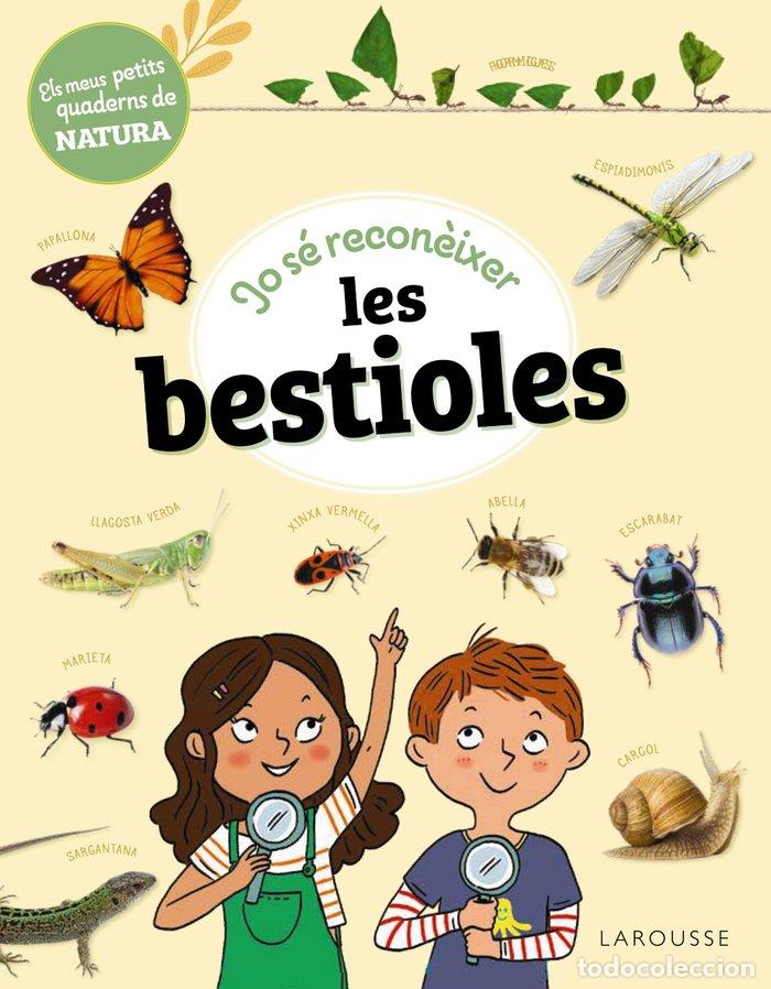 Livres: JO SE RECONEIXER LES BESTIOLES - LEBRUN, SANDRA