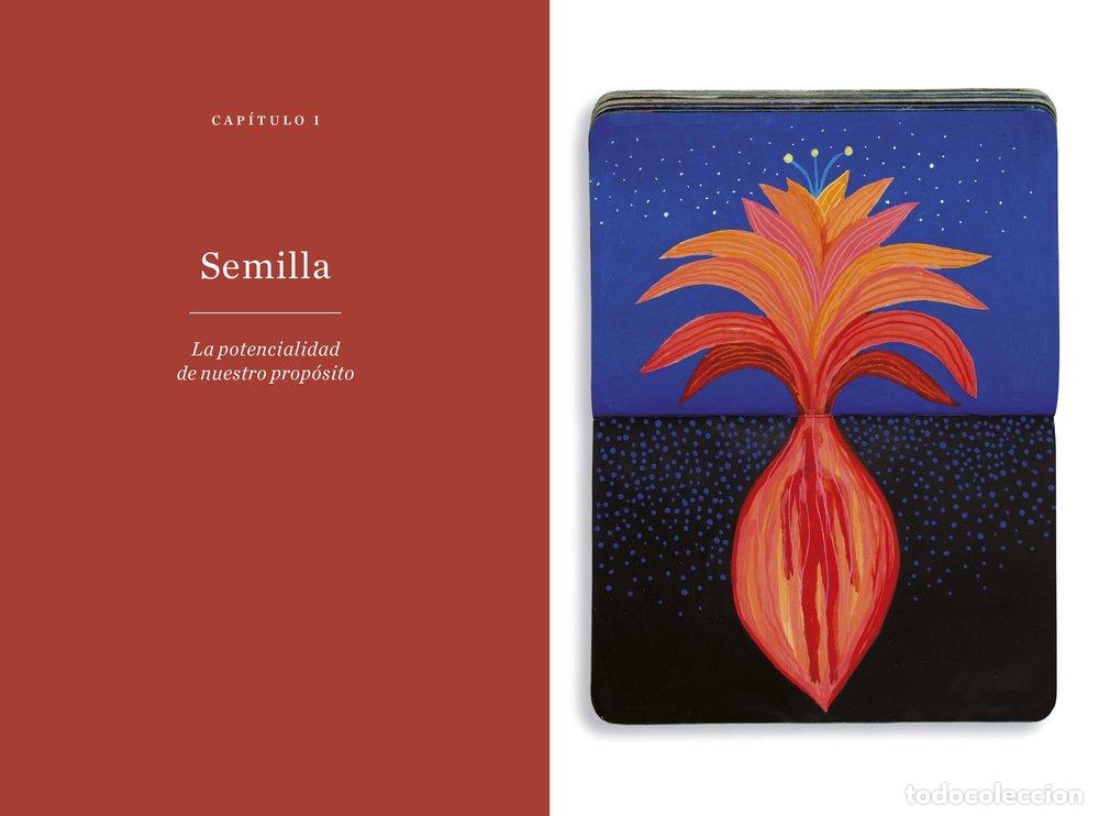 Libri: EL ARBOL DE LA MEDITACION - PERAGON CASADO, JULIAN