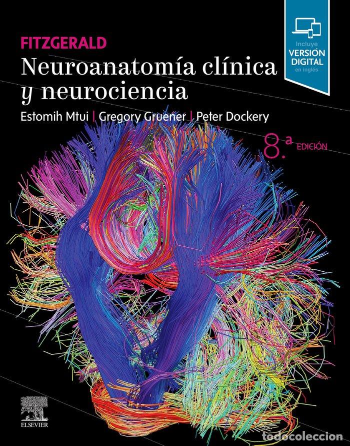 Livres: FITZGERALD NEUROANATOMIA CLINICA Y NEUROCIENCIA - MTUI, ESTOMIH