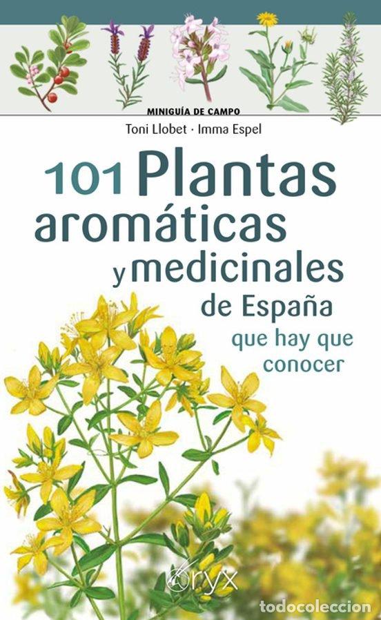 Libri: 101 PLANTAS AROMATICAS Y MEDICINALES DE ESPA&Ntilde;A QUE HAY QUE C - LLOBET, TONI