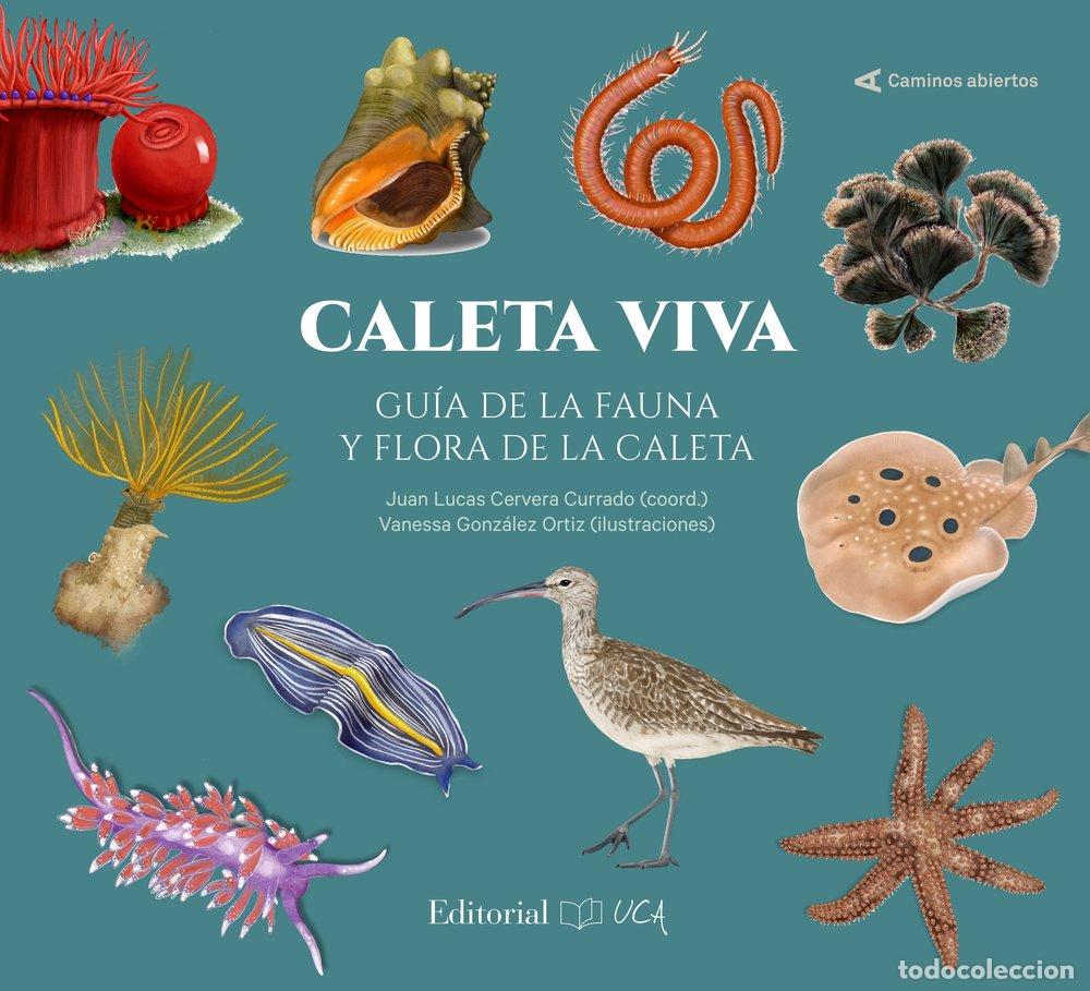 Libros: CALETA VIVA GUIA DE LA FAUNA Y FLORA DE LA CALETA - .