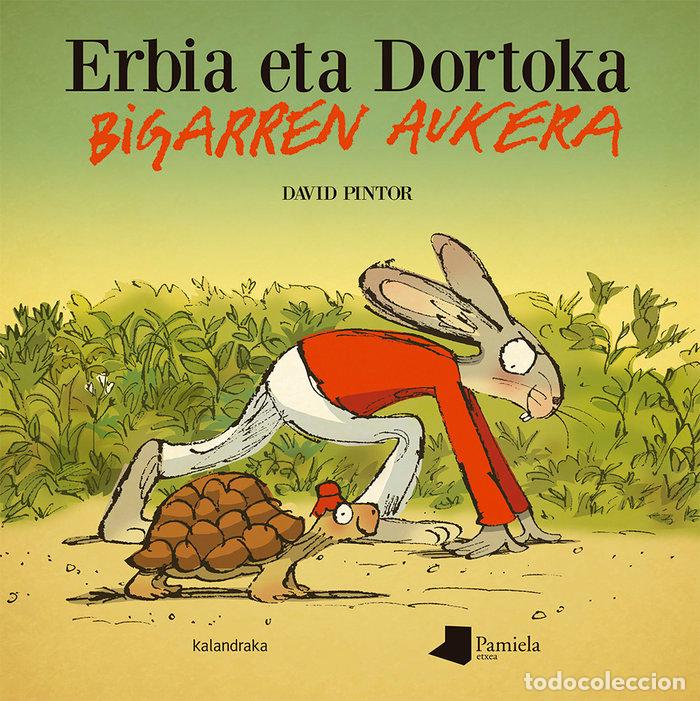 Libros: ERBIA ETA DORTOKA BIGARREN AUKERA - PINTOR, DAVID