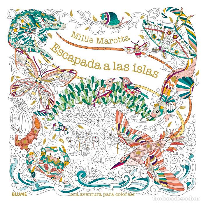 Livres: ESCAPADA A LAS ISLAS - MAROTTA, MILLIE