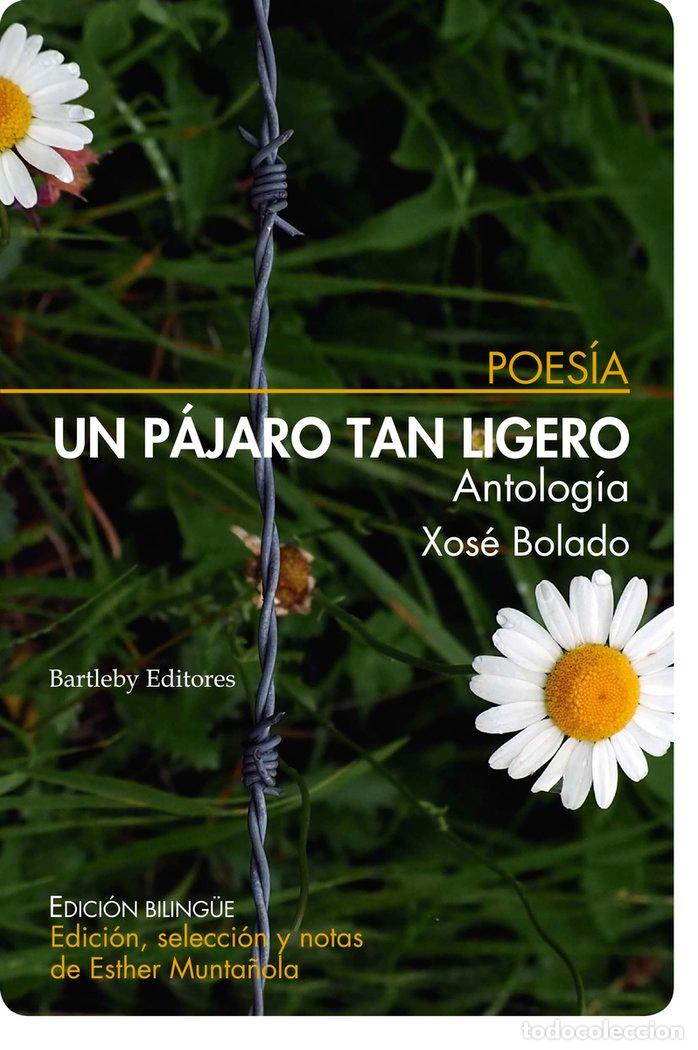 Livros: UN PAJARO TAN LIGERO - BOLADO, XOSE