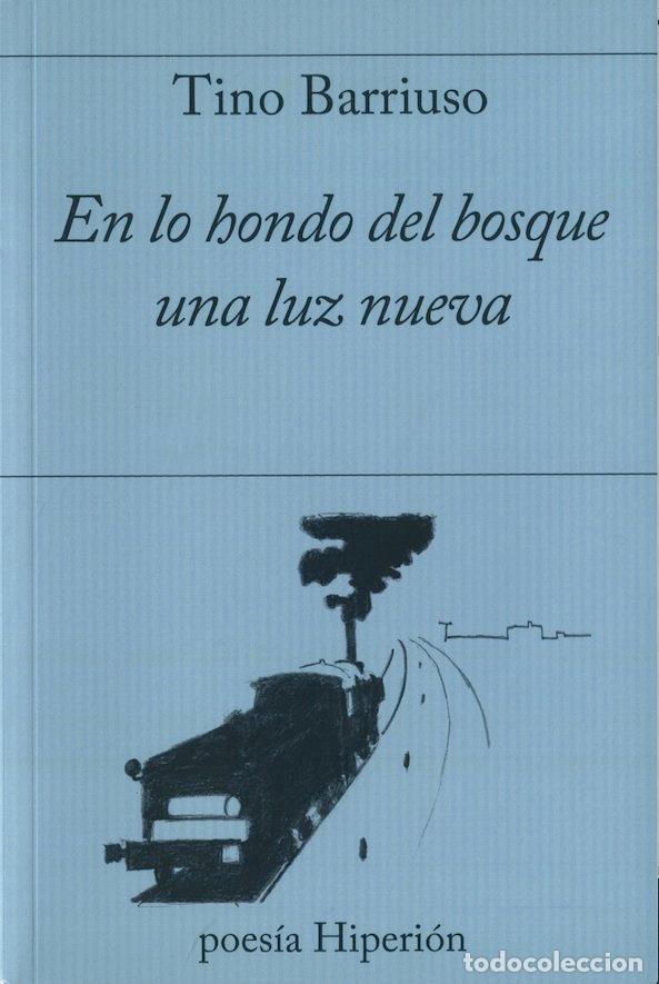 books: EN LO HONDO DEL BOSQUE UNA LUZ NUEVA - BARRIUSO, TINO