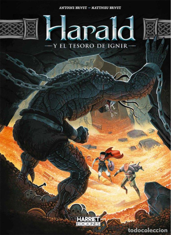 Livres: HARALD Y EL TESORO DE IGNIR 2 - MATTHIEU BRIVET