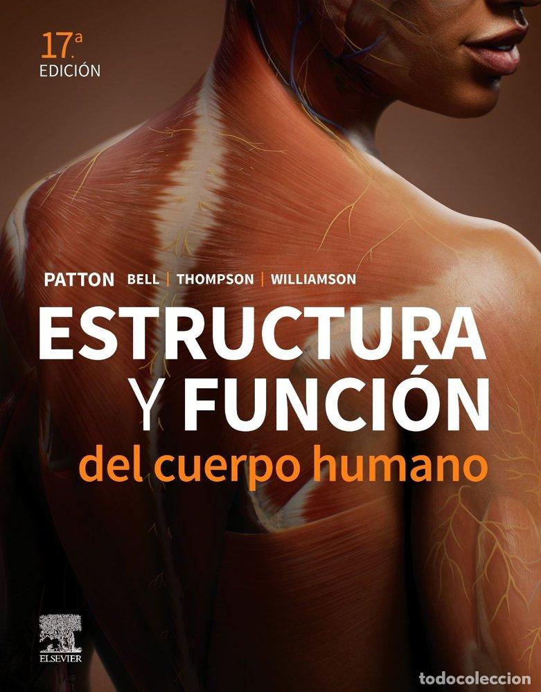 Livres: ESTRUCTURA Y FUNCION DEL CUERPO HUMANO 17&ordf; ED - PATTON