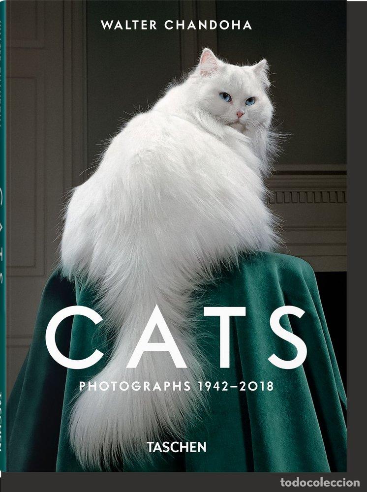 Livros: WALTER CHANDOHA CATS PHOTOGRAPHS 1942 2018 - MICHALS, SUSAN