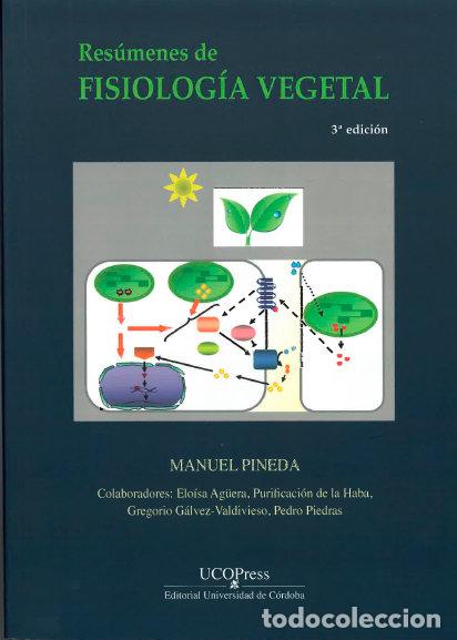 Livres: LA CAPILLA DEL ESPIRITU SANTO DE LA MEZQUITA CATEDRAL DE CO - AA.VV