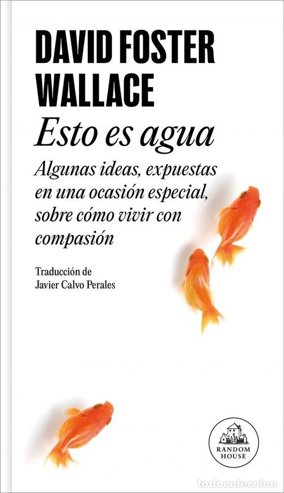 Libros: ESTO ES AGUA - WALLACE, DAVID FOSTER