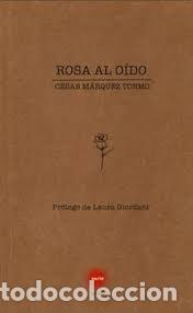 books: ROSA AL OIDO - MARQUEZ TORMO, CESAR