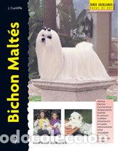 Libros: BICHON MALTES (EXCELLENCE) - CUNLIFFE, JULIETTE