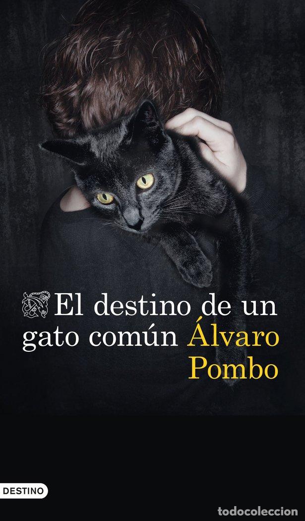 Livros: DESTINO DE UN GATO COMUN,EL - ALVARO POMBO