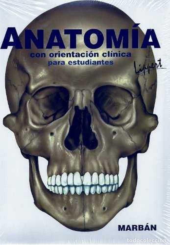 books: ANATOMIA - LIPPERT, HERBERT