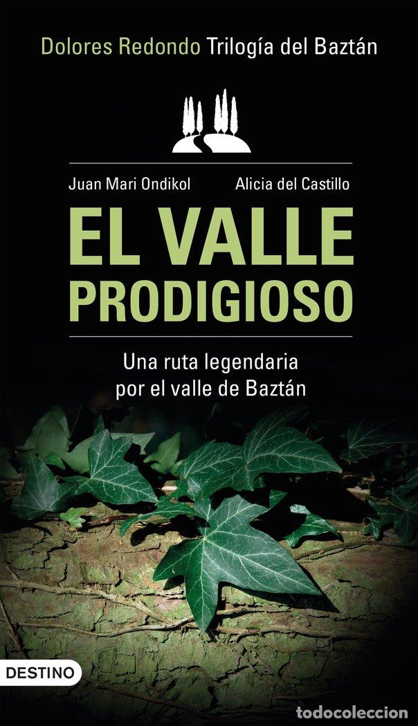 books: VALLE PRODIGIOSO,EL - AA. VV.