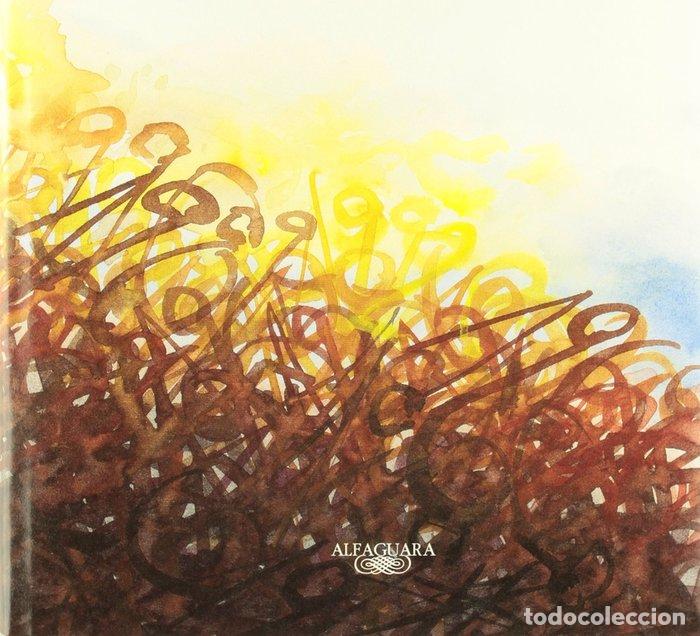 Libros: MI SIGLO ILUSTRADO - GRASS, GUNTER