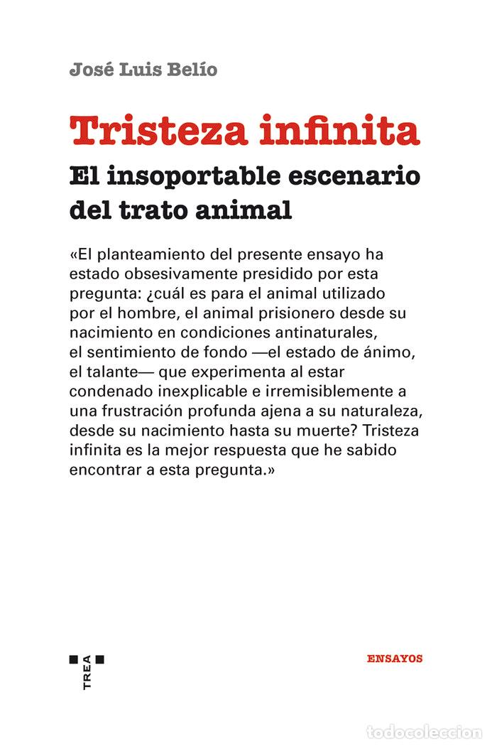 Libri: TRISTEZA INFINITA - BELIO, JOSE LUIS